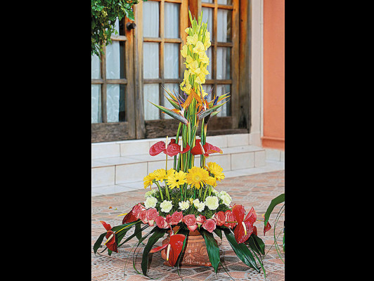 Refresque sus estancias