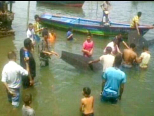 Honduras: Pescadores liberan a una ballena varada en el sur del país