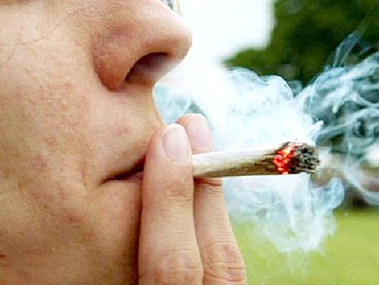 Hormona natural bloquea efecto de la marihuana en el cerebro