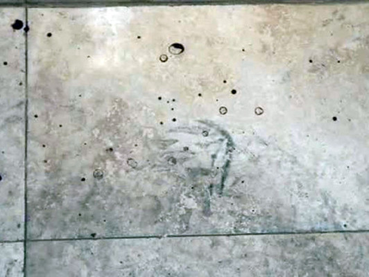 Difunden imágenes del baño en el que Pistorius mató a su novia