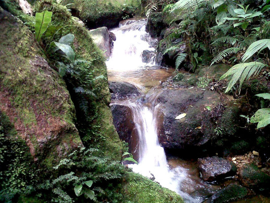 Fotos de los lectores para el Día de la Tierra