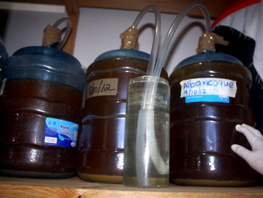 FOTOS: Bebidas irresistibles que nacen en las colinas de Danlí