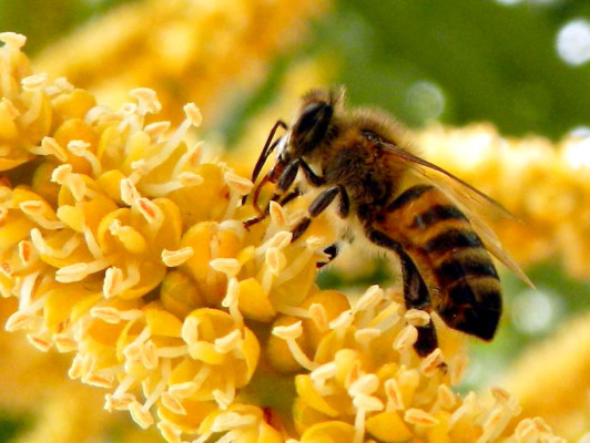 Fotos de los lectores para el Día de la Tierra