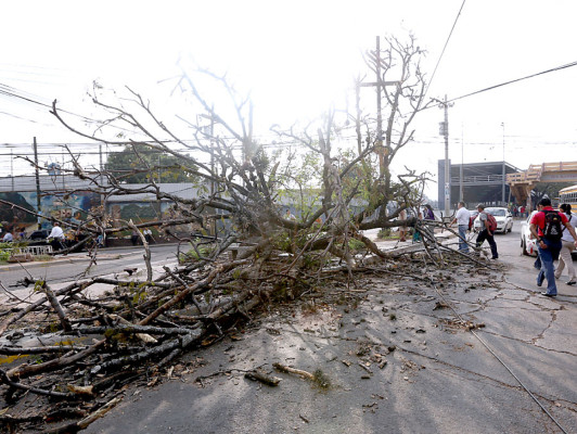 Los estragos que dejó la tormenta en Tegucigalpa y Comayagüela