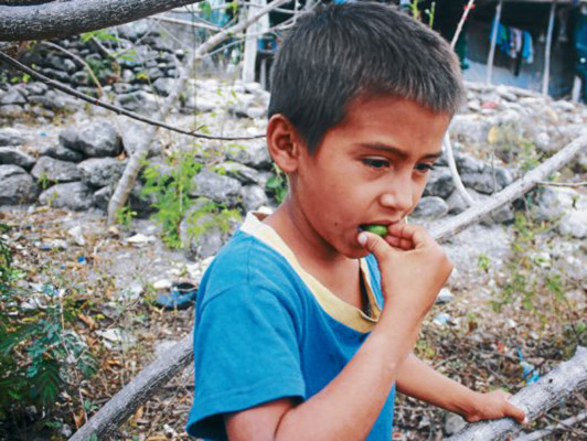 Con jocotes sacian hambre vecinos de El Paraíso