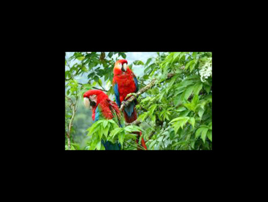 EL HERALDO te premia en el Día de la Tierra