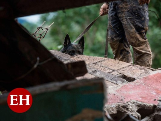 Guatemala declara estado de calamidad tras devastación por Eta (FOTOS)