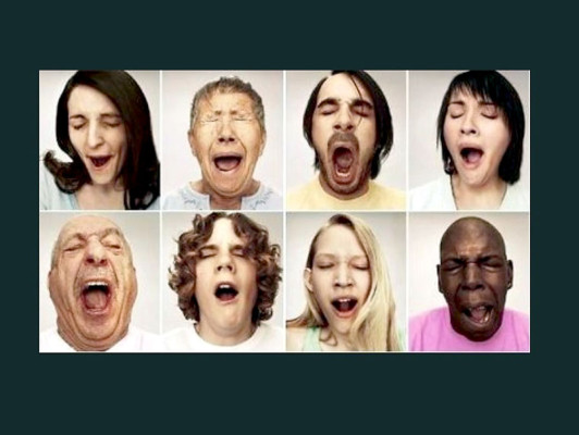 Bostezar enfría el cerebro