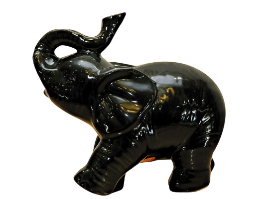 Atraiga la abundancia a casa