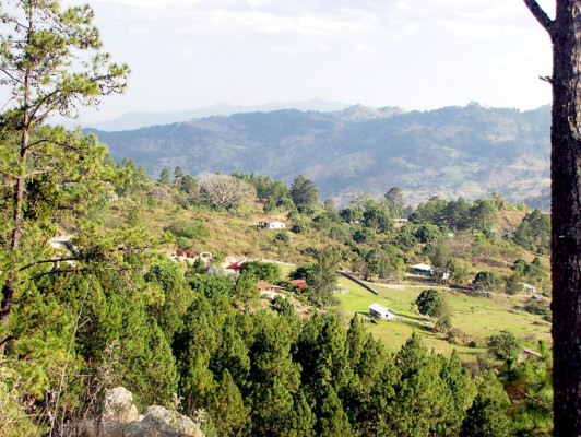 EL HERALDO te premia en el Día de la Tierra