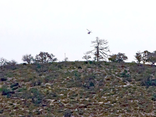 Estrellas que han muerto en accidentes aéreos