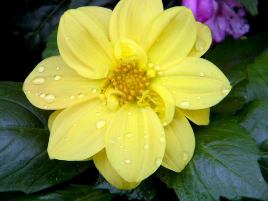 EL HERALDO te premia en el Día de la Tierra