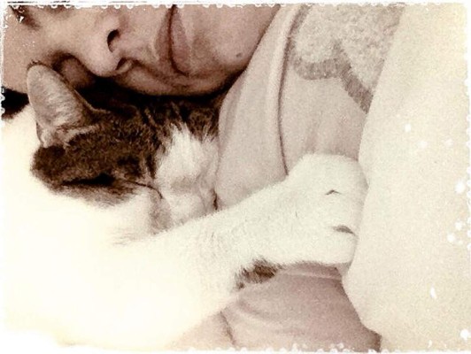 Así celebran hondureños el Día del Gato