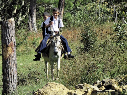 Niños se resisten a cumplir con la doble jornada