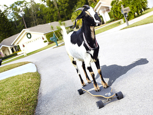 Récords Guinness 2014