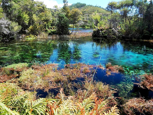 Cayos Cochinos de Honduras entre 35 lugares para visitar antes de morir
