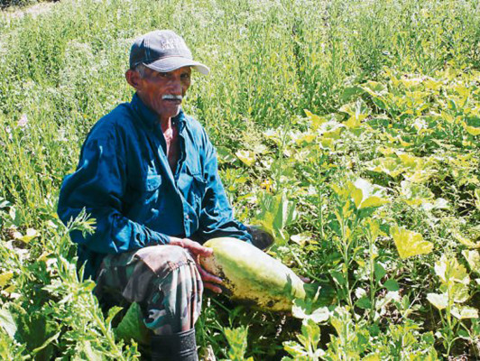 Honduras: Producción que surgió en la pobreza