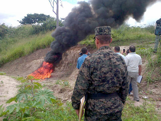 Incineran más de 400 kilos de cocaína