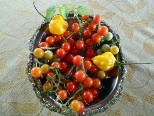 EL HERALDO te premia en el Día de la Tierra