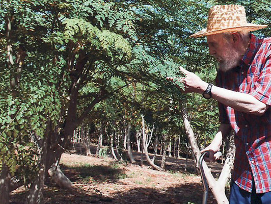 Fidel Castro: 'No recuerdo siquiera qué es un dolor de cabeza'