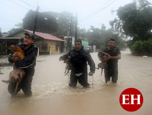 Guatemala declara estado de calamidad tras devastación por Eta (FOTOS)