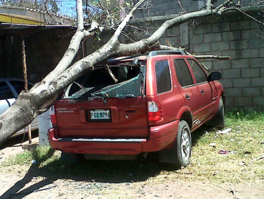 Siguen incidentes por fuertes vientos