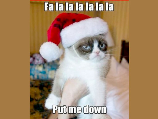 Obama, la NASA y el meme 'Grumpy Cat', lo mejor de Internet
