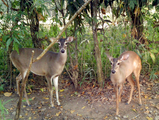 EL HERALDO te premia en el Día de la Tierra