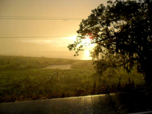 EL HERALDO te premia en el Día de la Tierra