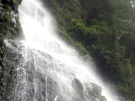 EL HERALDO te premia en el Día de la Tierra
