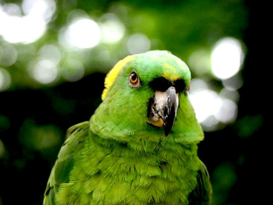 EL HERALDO te premia en el Día de la Tierra