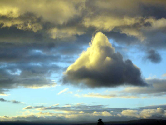 EL HERALDO te premia en el Día de la Tierra