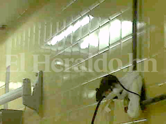 Ratones en quirófanos del hospital Escuela