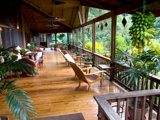 Honduras, paraíso para observadores de aves