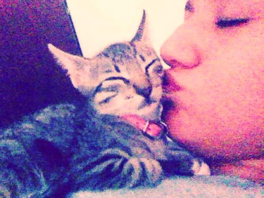 Así celebran hondureños el Día del Gato