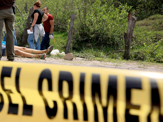 Violencia ha cobrado la vida de unas 431 mujeres