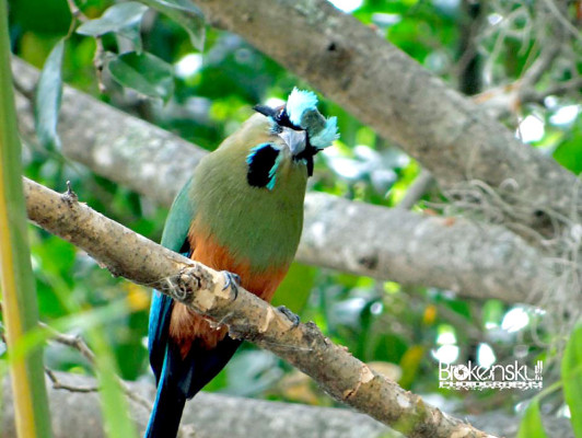 Fotos de los lectores para el Día de la Tierra