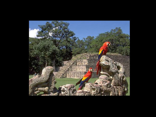 EL HERALDO te premia en el Día de la Tierra