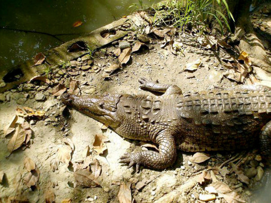 EL HERALDO te premia en el Día de la Tierra