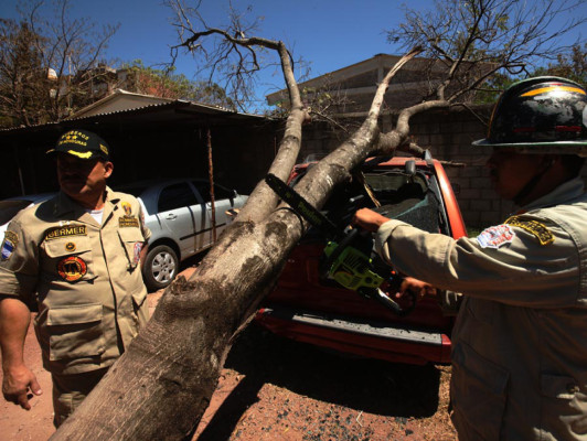 Siguen incidentes por fuertes vientos