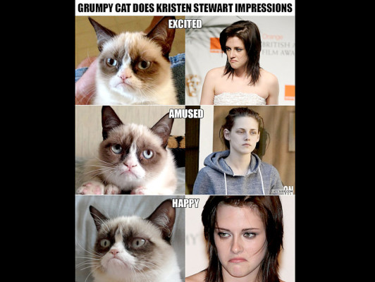 Obama, la NASA y el meme 'Grumpy Cat', lo mejor de Internet