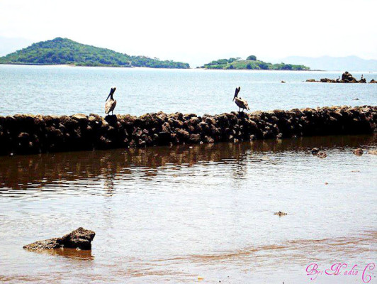 Fotos de los lectores para el Día de la Tierra