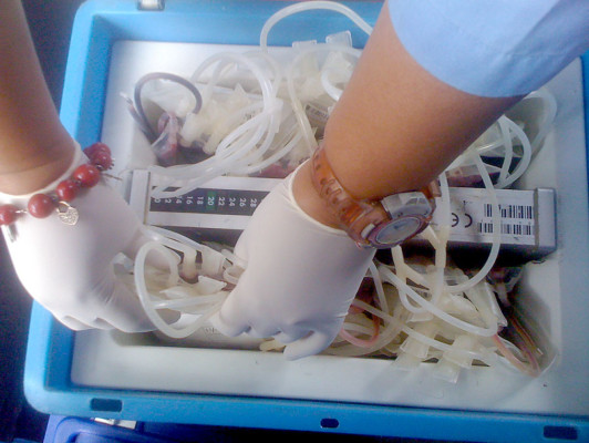 Conmemoran Día Mundial del Donante