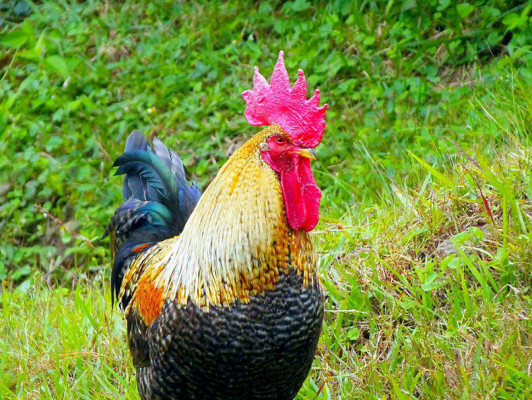 EL HERALDO te premia en el Día de la Tierra