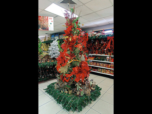 Los árboles que reinarán en estas pascuas