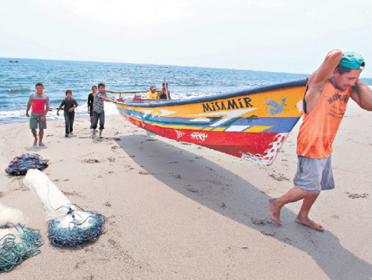 Sobreexplotación acaba con las especies en el Golfo