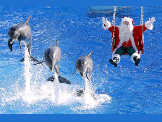 El mundo celebra la Navidad