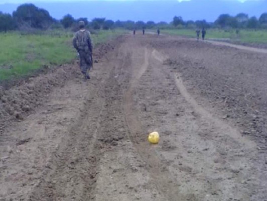 Narcos han deforestado cinco millones de hectáreas en Honduras