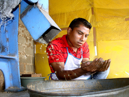 Producción de café: una tradición ancestral de El Paraíso