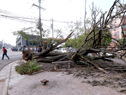 Los estragos que dejó la tormenta en Tegucigalpa y Comayagüela